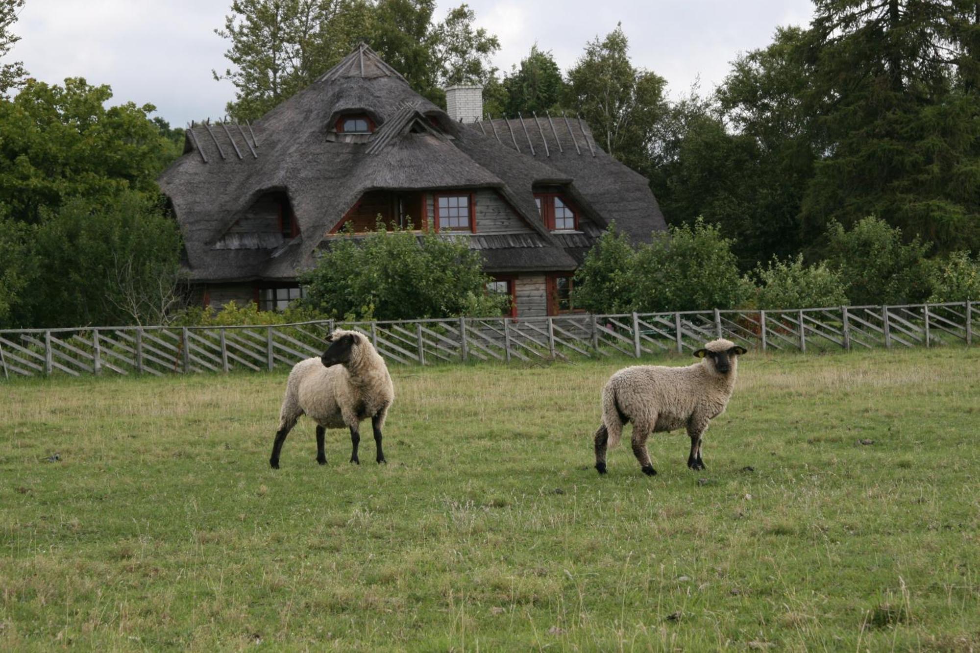 Toomalouka Tourist Farm Hotel Exterior photo